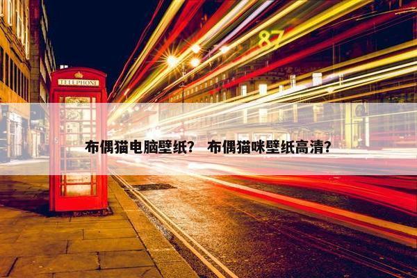 布偶猫电脑壁纸？ 布偶猫咪壁纸高清？