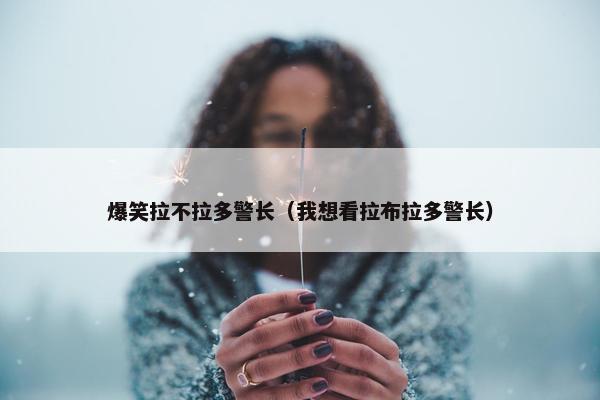 爆笑拉不拉多警长（我想看拉布拉多警长）