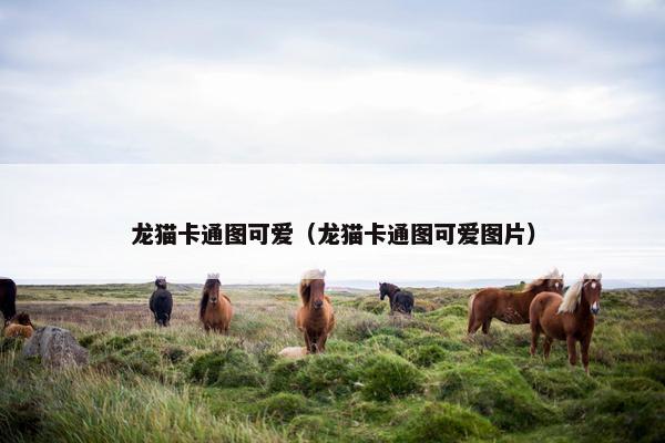 龙猫卡通图可爱（龙猫卡通图可爱图片）
