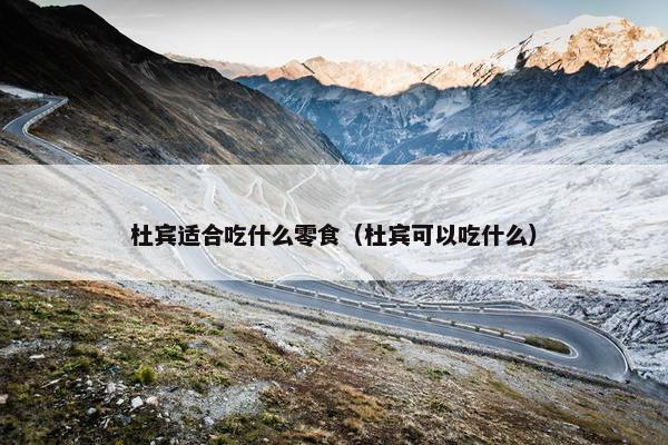杜宾适合吃什么零食（杜宾可以吃什么）
