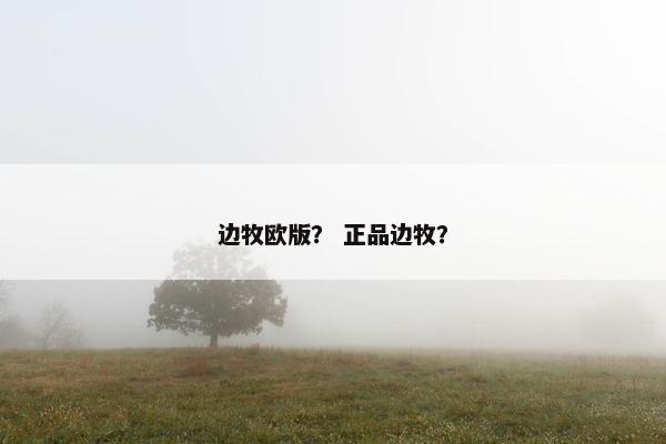 边牧欧版？ 正品边牧？