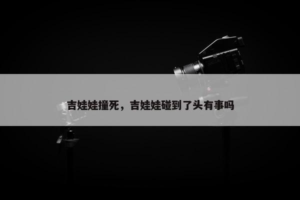 吉娃娃撞死，吉娃娃碰到了头有事吗