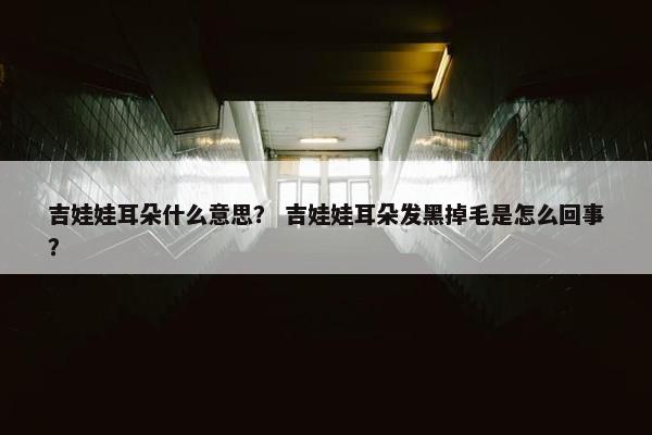 吉娃娃耳朵什么意思？ 吉娃娃耳朵发黑掉毛是怎么回事？