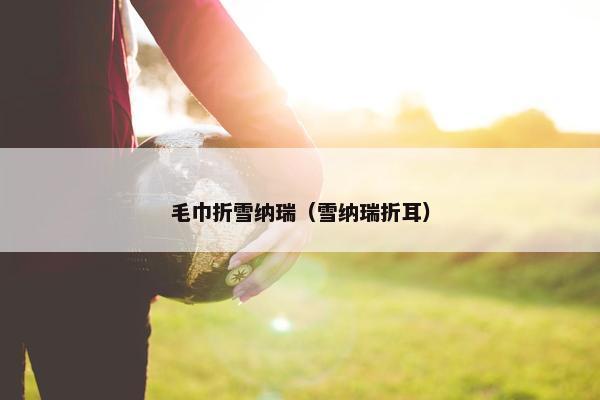 毛巾折雪纳瑞（雪纳瑞折耳）