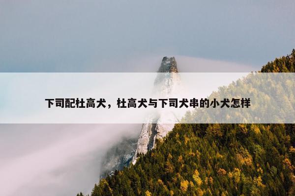 下司配杜高犬，杜高犬与下司犬串的小犬怎样