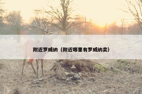 附近罗威纳（附近哪里有罗威纳卖）