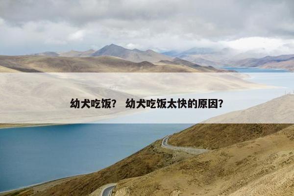 幼犬吃饭？ 幼犬吃饭太快的原因？
