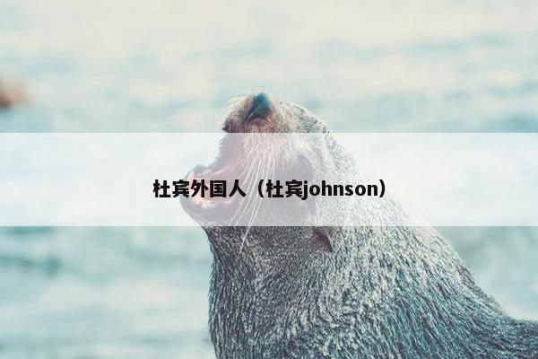杜宾外国人（杜宾johnson）