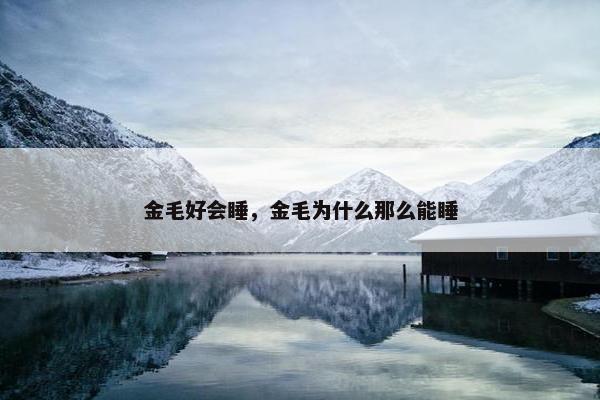 金毛好会睡，金毛为什么那么能睡