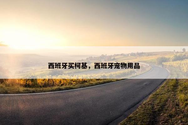 西班牙买柯基，西班牙宠物用品