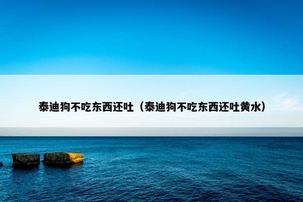 泰迪狗不吃东西还吐（泰迪狗不吃东西还吐黄水）