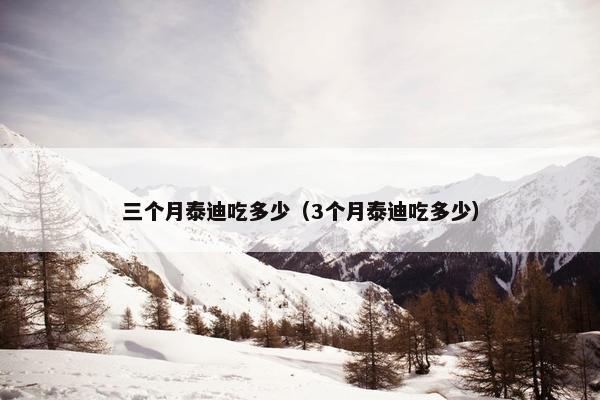 三个月泰迪吃多少（3个月泰迪吃多少）