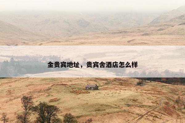 金贵宾地址，贵宾舍酒店怎么样
