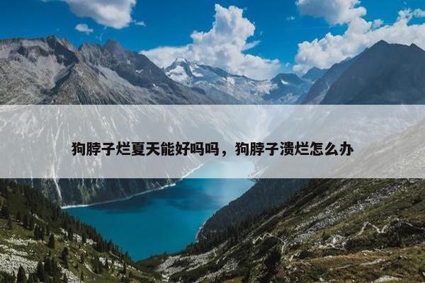 狗脖子烂夏天能好吗吗，狗脖子溃烂怎么办