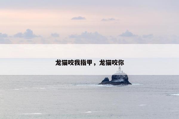 龙猫咬我指甲，龙猫咬你