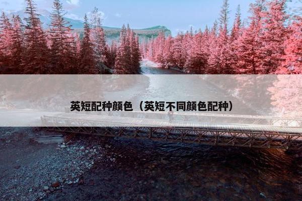 英短配种颜色（英短不同颜色配种）