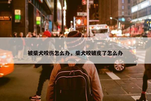 被柴犬咬伤怎么办，柴犬咬破皮了怎么办