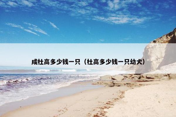 成杜高多少钱一只（杜高多少钱一只幼犬）