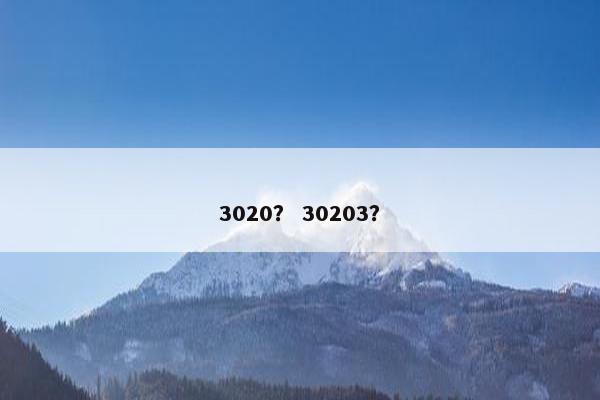3020？ 30203？