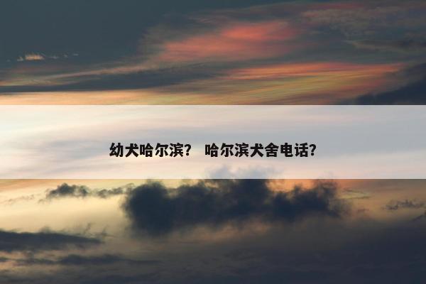 幼犬哈尔滨？ 哈尔滨犬舍电话？