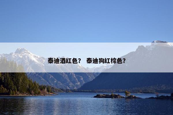 泰迪酒红色？ 泰迪狗红棕色？
