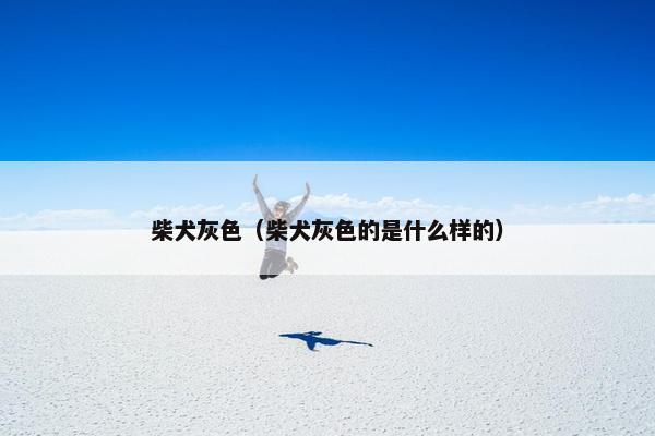 柴犬灰色（柴犬灰色的是什么样的）