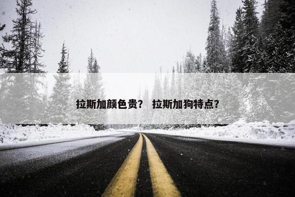 拉斯加颜色贵？ 拉斯加狗特点？