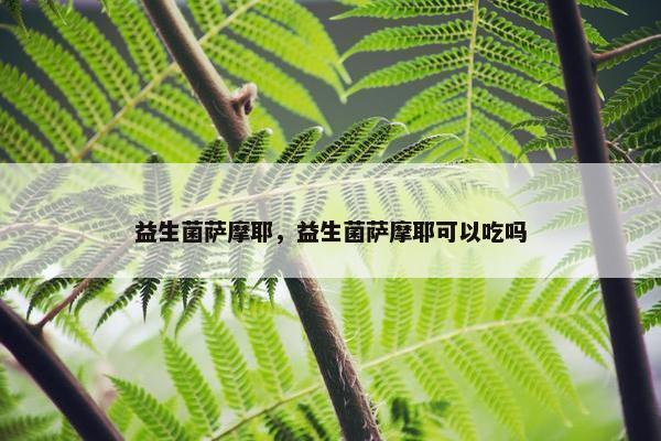 益生菌萨摩耶，益生菌萨摩耶可以吃吗