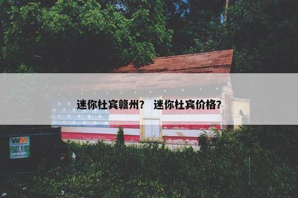 迷你杜宾赣州？ 迷你杜宾价格？