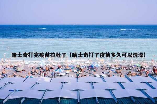 哈士奇打完疫苗拉肚子（哈士奇打了疫苗多久可以洗澡）