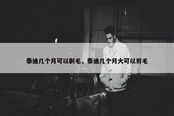 泰迪几个月可以剃毛，泰迪几个月大可以剪毛