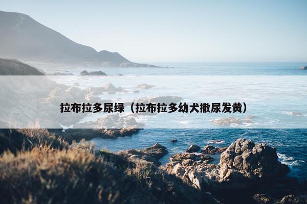 拉布拉多尿绿（拉布拉多幼犬撒尿发黄）