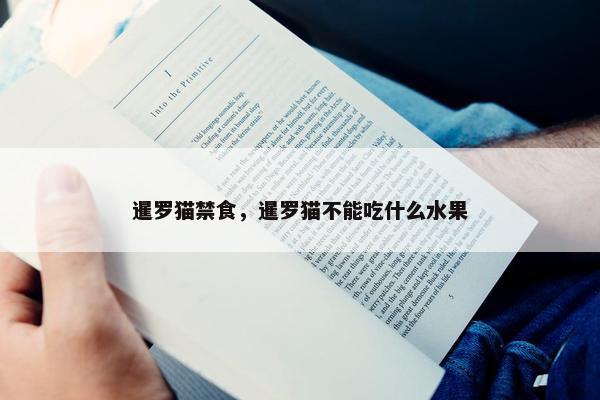暹罗猫禁食，暹罗猫不能吃什么水果