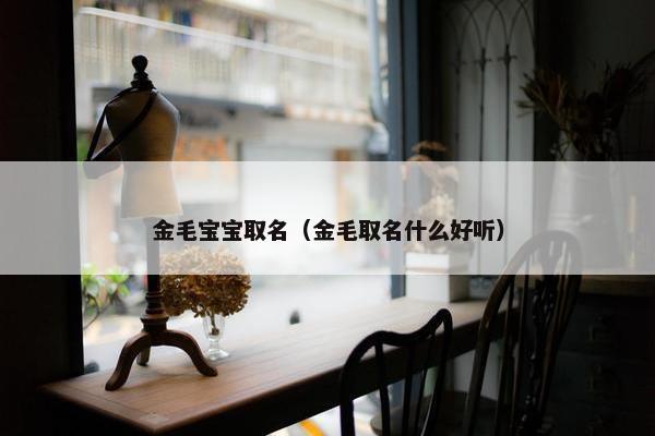 金毛宝宝取名（金毛取名什么好听）