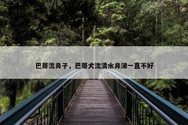 巴哥流鼻子，巴哥犬流清水鼻涕一直不好