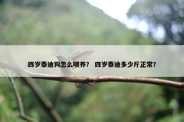 四岁泰迪狗怎么喂养？ 四岁泰迪多少斤正常？
