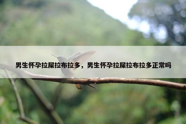 男生怀孕拉屎拉布拉多，男生怀孕拉屎拉布拉多正常吗