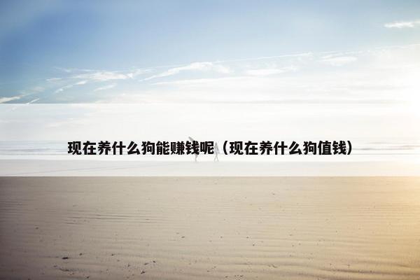 现在养什么狗能赚钱呢（现在养什么狗值钱）