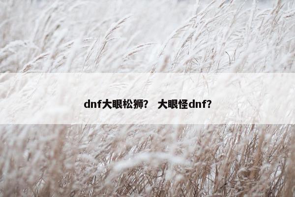 dnf大眼松狮？ 大眼怪dnf？