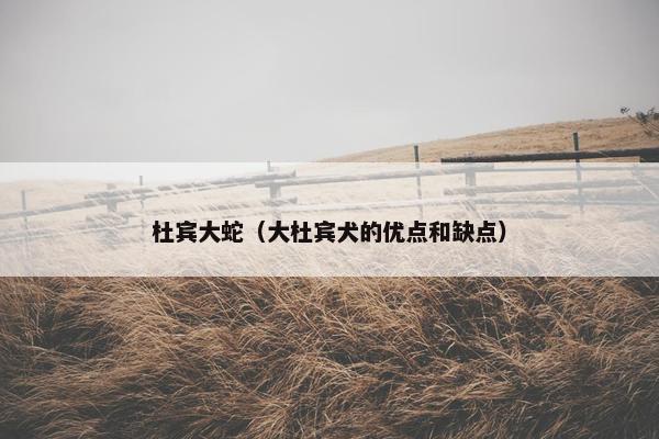 杜宾大蛇（大杜宾犬的优点和缺点）