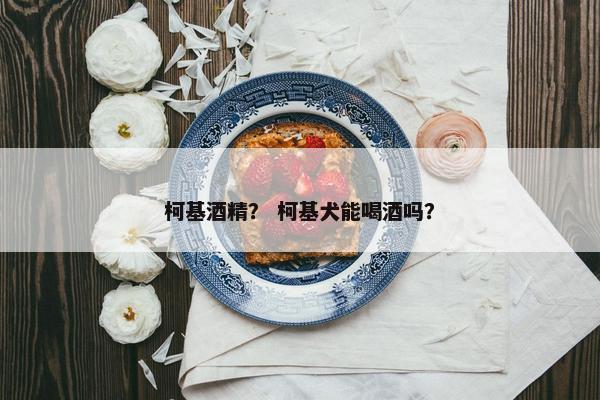 柯基酒精？ 柯基犬能喝酒吗？