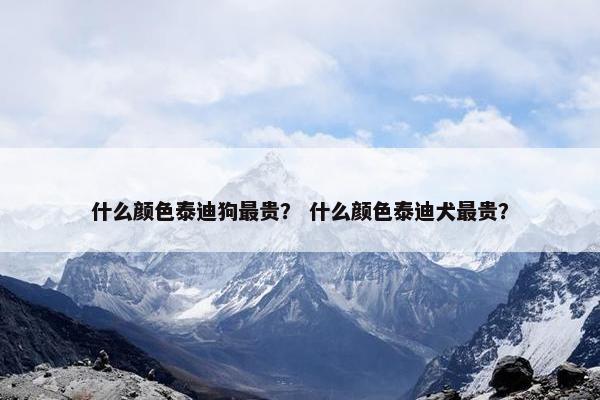 什么颜色泰迪狗最贵？ 什么颜色泰迪犬最贵？