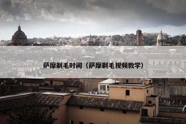 萨摩剃毛时间（萨摩剃毛视频教学）