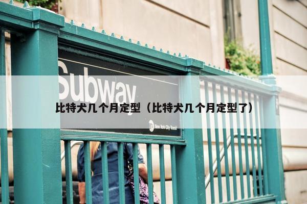 比特犬几个月定型（比特犬几个月定型了）