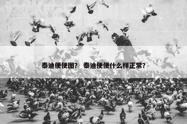 泰迪便便图？ 泰迪便便什么样正常？