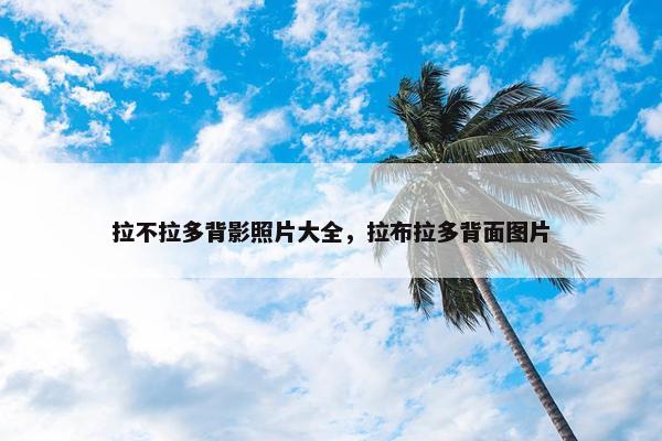 拉不拉多背影照片大全，拉布拉多背面图片
