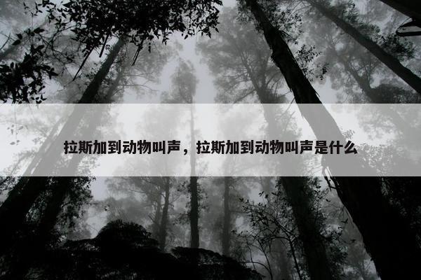拉斯加到动物叫声，拉斯加到动物叫声是什么