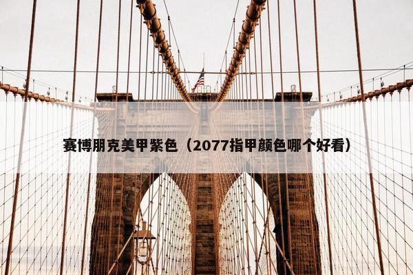 赛博朋克美甲紫色（2077指甲颜色哪个好看）