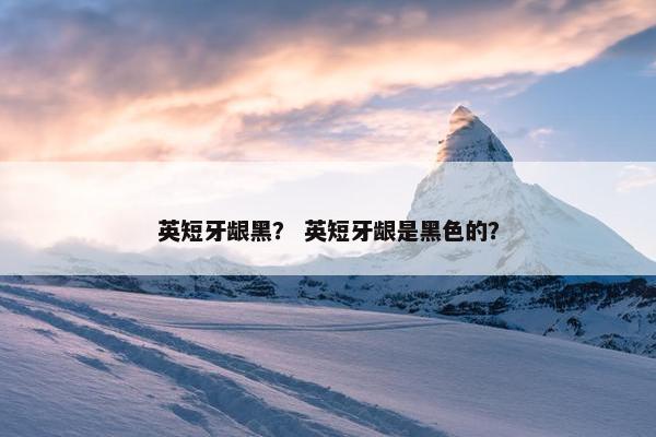 英短牙龈黑？ 英短牙龈是黑色的？