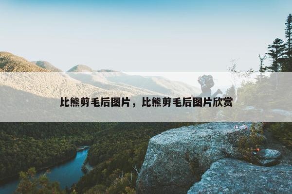 比熊剪毛后图片，比熊剪毛后图片欣赏